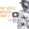 The-Yogic-Breath-school-web-1080×675