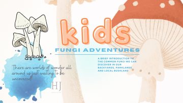 2021 – August kids fungi 2