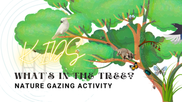 2022 – Kids Nature gazing. png