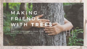 2022 – Making friends with trees