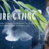 2022 – Nature Gazing Banner 1