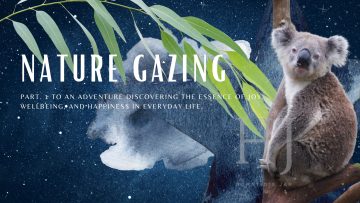 2022 – Nature Gazing Banner 1
