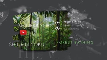 2022 – Shinrin – Yoku 1