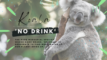 2022 – No Drink Banner