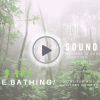 Nature Bathing Film Banner