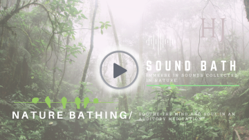 Nature Bathing Film Banner