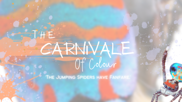 The Carnivale of Colour