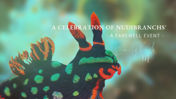 2022 New – Nudibranch Banners (1900 × 1080 px)-2