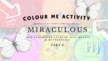 2022 – The Miraculous Part 3 – Activity