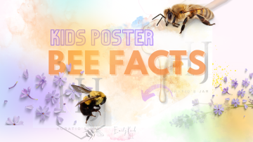 2022 – Bee Facts – Banner 1