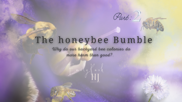 2022 – Honeybee bumble banner final 1
