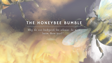 The Honeybee Bumble 2