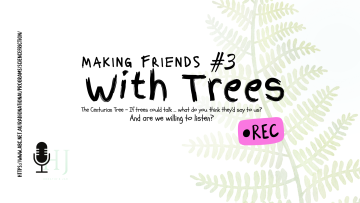 Making Friends with trees 3
