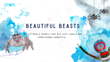 2022 – Beautiful Beasts Banner 1