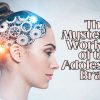 The Mysterious Workings of the Adolescent Brain