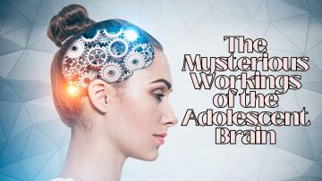 The Mysterious Workings of the Adolescent Brain